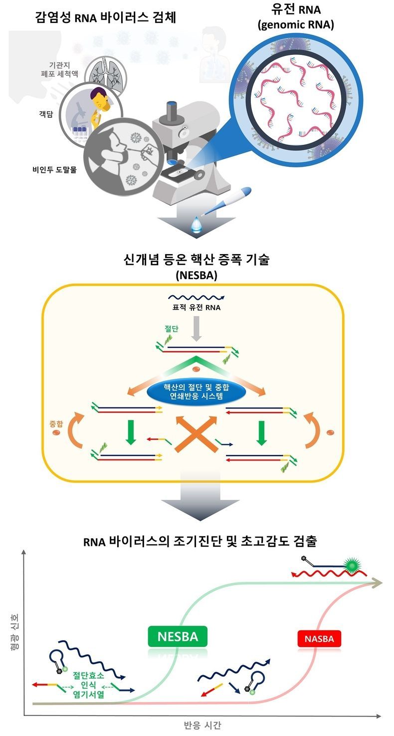 연구 모식도 2021.07.15 (출처:KAIST)
