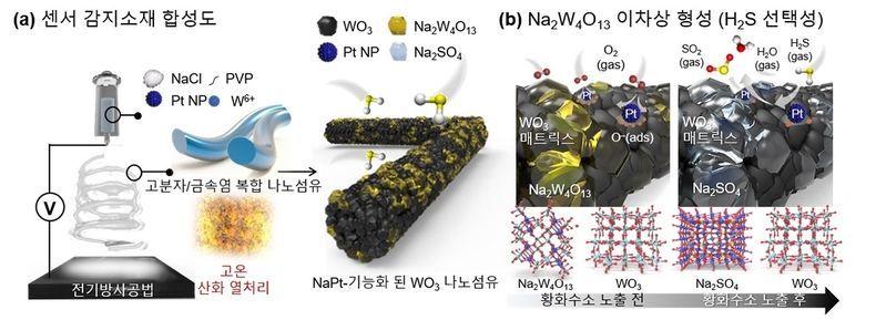 (a) 나트륨과 백금 촉매가 기능화된 텅스텐 산화물 나노섬유 합성 모식도. (b) 황화수소 가스에 대한 반응 메커니즘 설명 모식도. 2021.07.28 (출처:KAIST)
