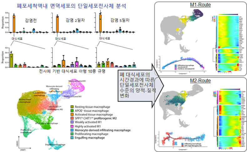 연구 모식도 2021.08.04 (출처:KAIST)