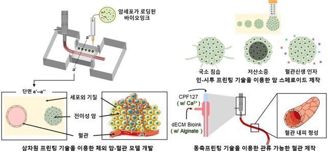 인-시투 프린팅 기술을 이용한 암-혈관 모델 제작 개념도 2021.08.12 (출처:POSTECH)
