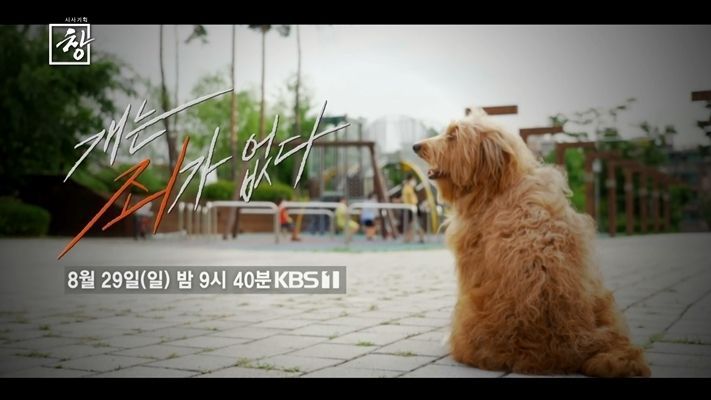 KBS '시사기획 창' 개는 죄가 없다 2021.08.27 (출처:KBS)