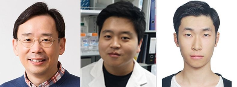 (왼쪽부터) KAIST 의과학대학원 신의철 교수, KAIST 의과학대학원 이호영 박사, KAIST 의과학대학원 정성주 박사과정 2021.08.31 (출처:KAIST)