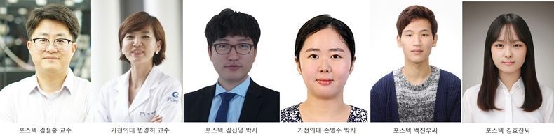 POSTECH 김철홍 교수 연구팀