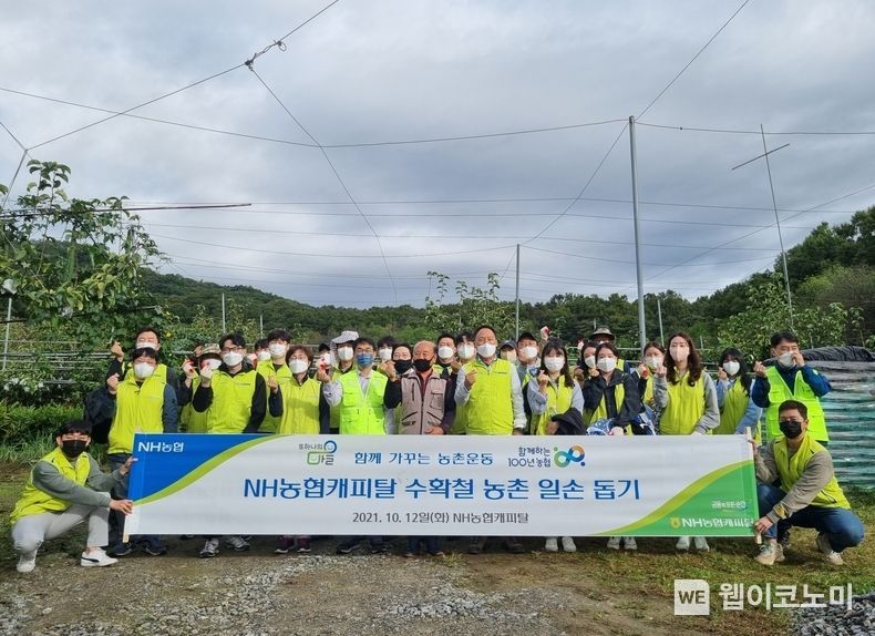 NH농협캐피탈 박태선 대표이사와 임직원 봉사단 30여명은 12일, 수확기를 맞아 의정부시 의정부농협 관내 배 농가를 방문해 농촌 일손돕기에 나섰다고 밝혔다. 박태선 대표이사(앞줄 왼쪽에서 일곱 번째)와 임직원봉사단원들이 함께 기념촬영을 하고 있다. 2021.10.12 (출처 = NH농협)
