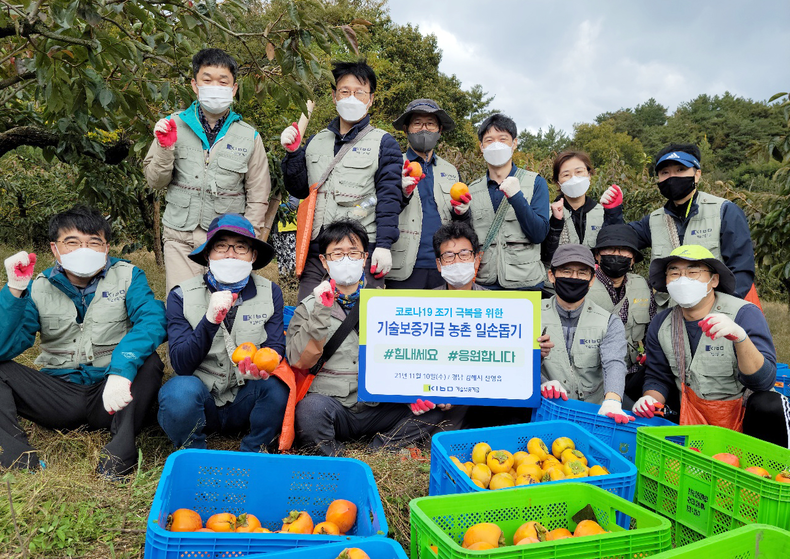 기술보증기금 직원들이 경남 김해에서 일손이 부족한 과수농가를 찾아 ‘감 따기’ 봉사활동을 펼치고 있다 2021.11.11 (출처:기술보증기금)