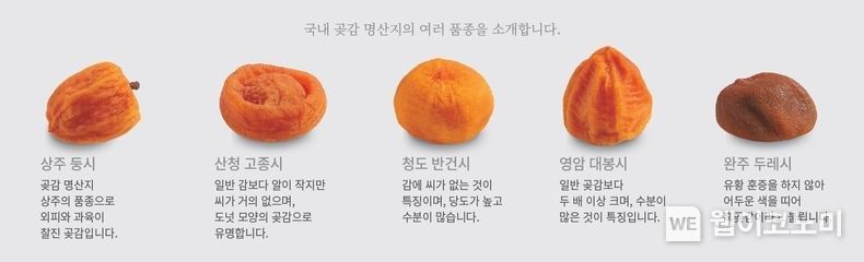 롯데백화점이 선보이는 국내 곶감 명산지에서 생산한 대표 곶감 다섯 품종 2022.01.19 (출처: 롯데백화점)