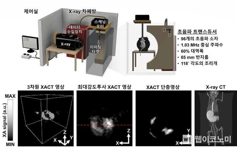 X-ray 유도 음향 단층 촬영 시스템 모식도와 조영제를 활용한 3차원 XACT 소동물 영상 2022.01.26 (출처: 포스텍)
