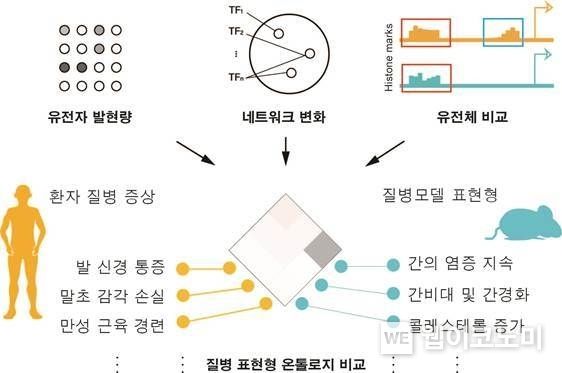 유전자 조절 네트워크와 유전체 발현량 비교를 통해 인간질병을 더 정확하게 모사하는 질병 모델생물을 선택하는 기술의 개요 2022.03.02 (출처: POSTECH)