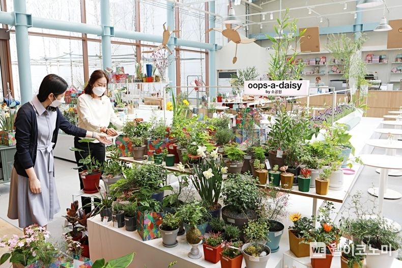  안산점 가드닝 카페 반려식물을 구경하는 고객 2022.03.10 (출처: 롯데백화점)