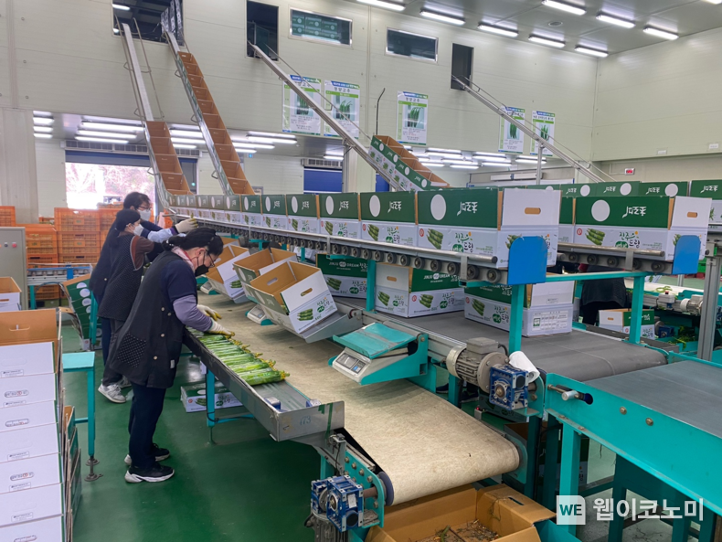 농산물 선별 장면.2022.04.05.(사진=진주시)