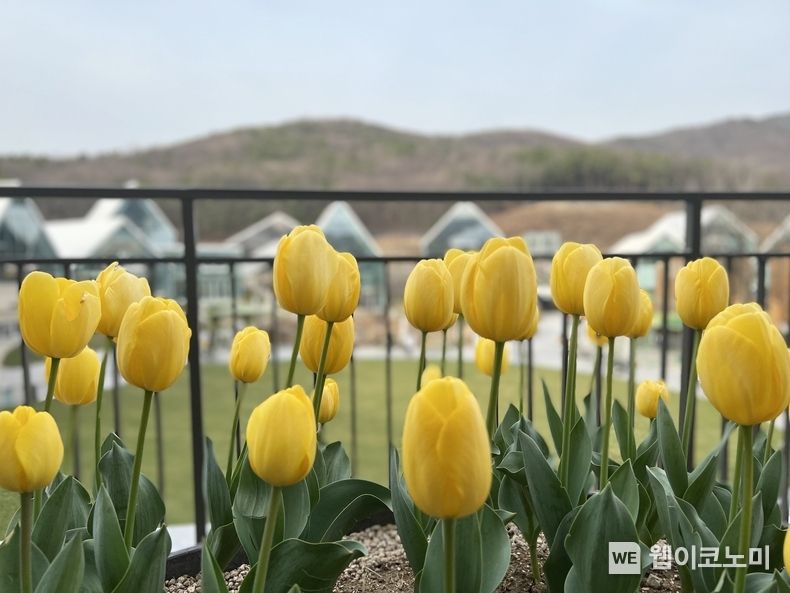  블루밍 타임빌라스 2022.04.07 (출처: 롯데아울렛)
