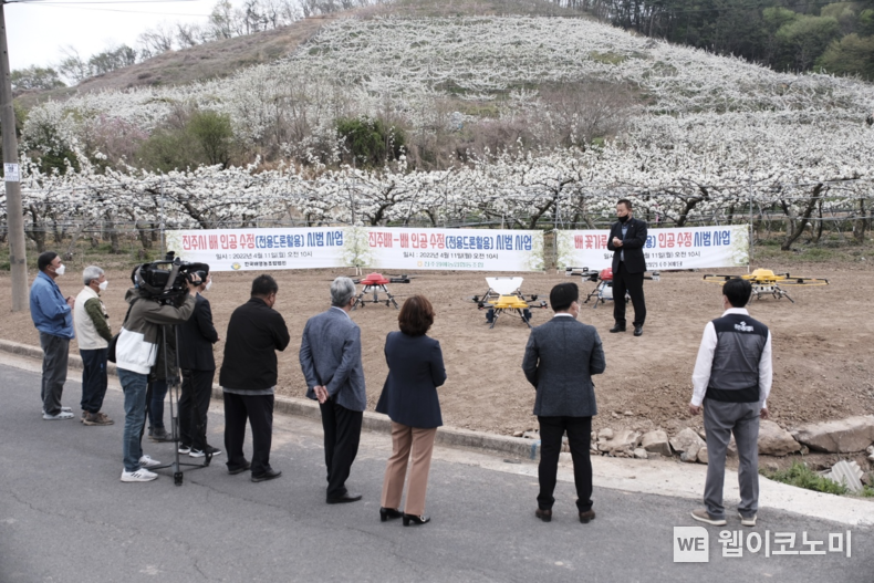 진주시가 11일 문산읍 두산리 배 과수원에서 진주원예농협, 한국배영농조합법인과 함께 드론을 활용한 배 인공수분을 실시하고 있다.(사진=진주시)
