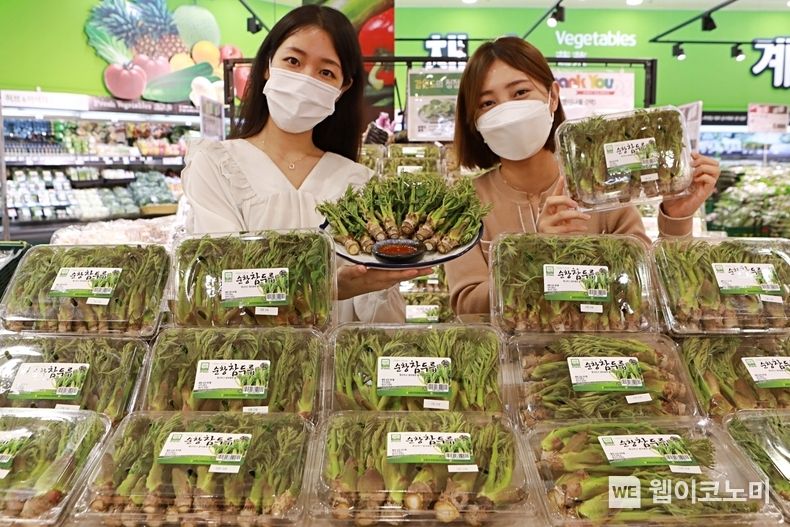 제철 맞은 ‘참두릅’으로 식탁 가득 봄을 담아보세요. 2022.04.14. (출처: 롯데마트)