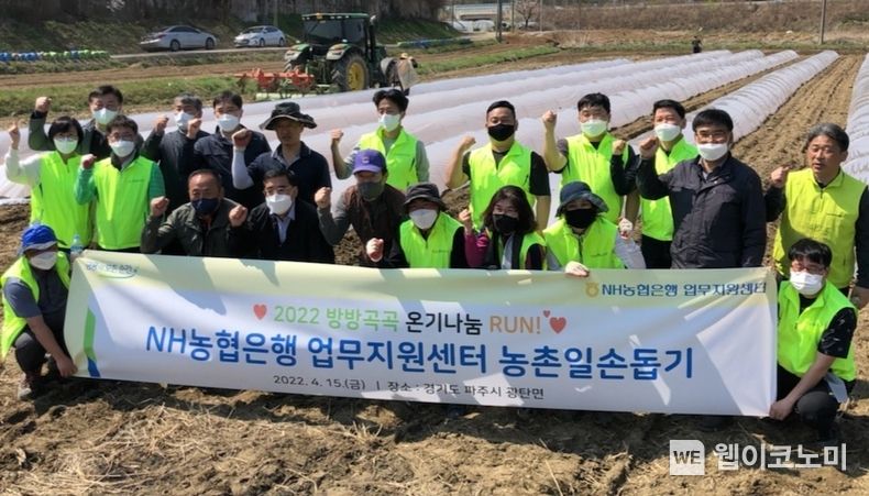 농협은행 업무지원센터 김형기 센터장(첫줄 왼쪽 6번째)과 직원들이 15일 파주시 광탄면 소재 벼 농가를 찾아 모판작업, 환경정화활동 등 일손돕기를 실시하고 기념사진을 촬영하고 있다. 2022.04.18 (출처: 농협은행)