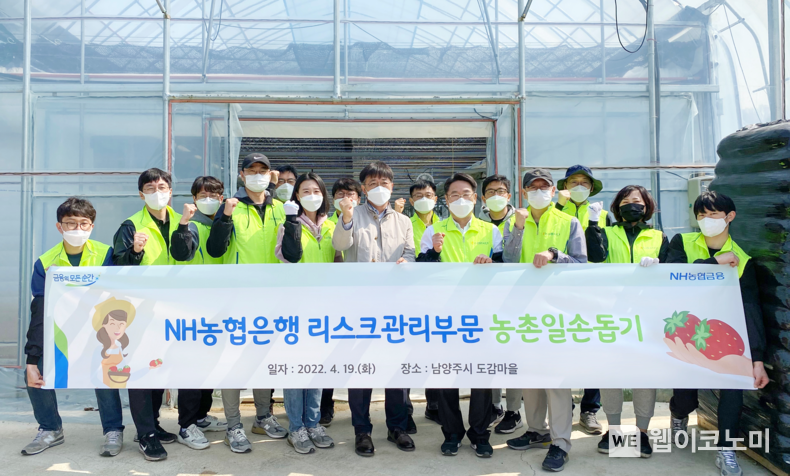 NH농협은행 리스크관리부문 반채운 부행장(오른쪽 네 번째)과 직원들이 영농철을 맞아 경기도 남양주시 소재 딸기농가를 찾아 일손돕기를 실시하며 기념촬영을 했다. 2022.04.25 (출처: NH농협은행)