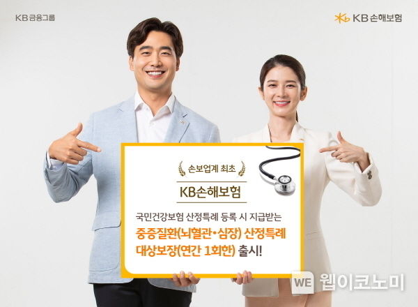 KB손해보험 손보업계 최초 중증질환 산정특례 대상 보장 특약 출시 2022.05.13 (출처 : KB손해보험)