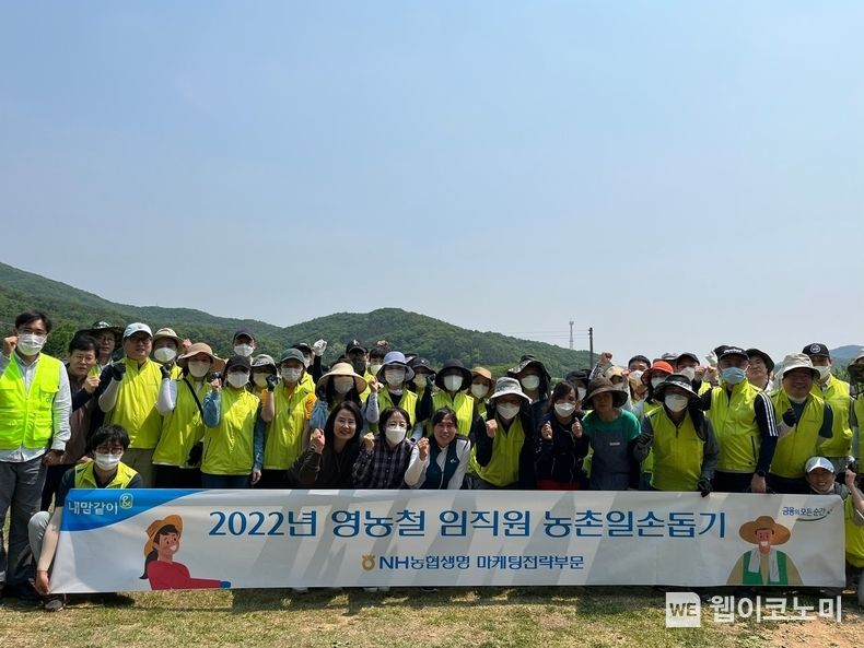 NH농협생명 농촌일손돕기 2022.05.23 (출처 : NH농협생명)