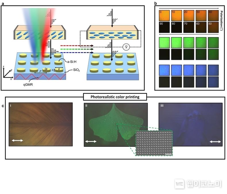POSTECH 노준석 교수 연구 이미지 2022.05.24 (출처 : POSTECH)