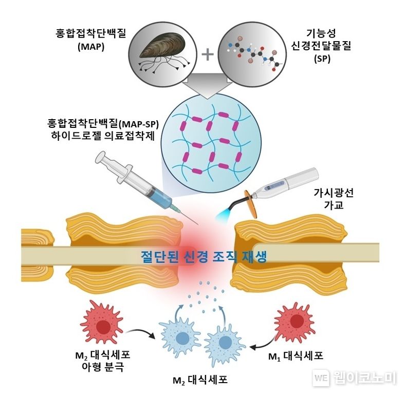 POSTECH 차형준 교수 연구 관련 그림 2022.05.26 (출처 : POSTECH)