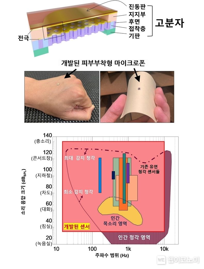 고분자 기반 피부부착형 마이크로폰의 모식도, 부착 사진, 감지 성능 비교 그래프 2022.06.22 (출처:POSTECH)