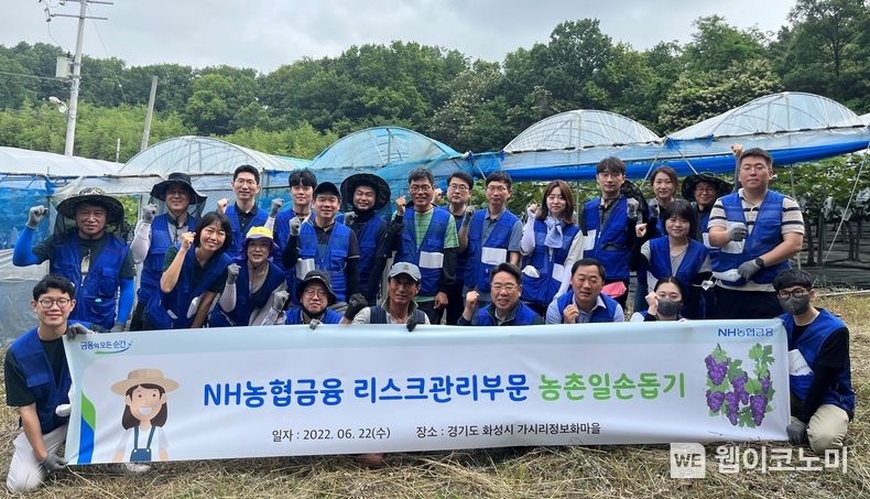 NH농협금융지주 반채운 부사장과 임직원 봉사단은 22일, 영농철을 맞아 경기도 화성시 가시리정보화마을 소재 포도농가를 방문해 일손돕기를 실시했다. 반채운 농협금융지주 부사장(앞줄 왼쪽에서 여섯 번째) 및 임직원 봉사단과 농장주가 일손돕기 후 기념촬영을 하고 있다. 2022.06.23 (출처:농협금융)
