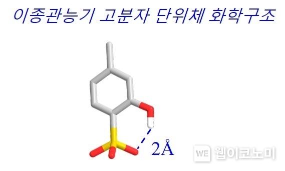 이종관능기 고분자 단위체 화학구조 2022.08.09 (출처:POSTECH)
