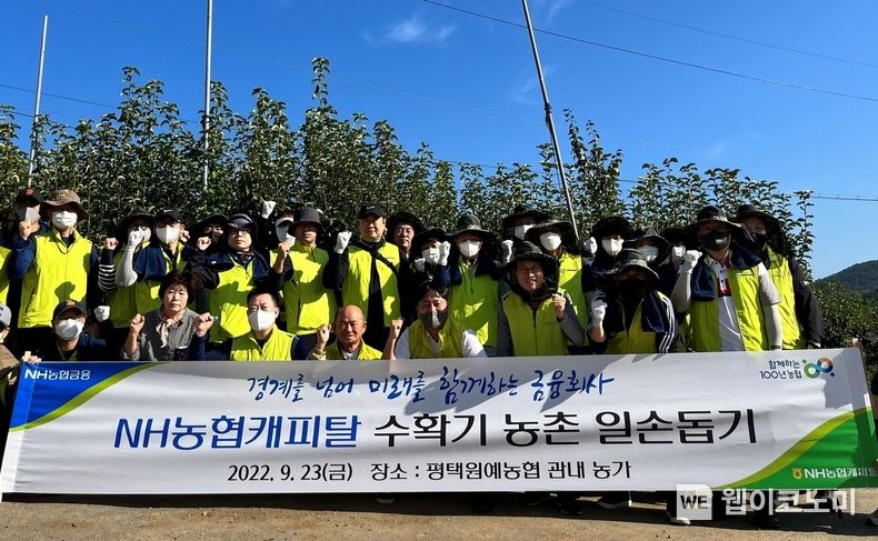 NH농협캐피탈 봉사단과 농협은행 평택시지부 임직원들 약 40여명은 23일, 평택시 평택원예농협 관내 배 농가를 방문하여 일손 돕기에 나섰다. 조두식 NH농협캐피탈 대표이사(첫번째 줄 왼쪽 세 번째)와 임직원들이 기념사진을 촬영하고 있다. 2022.09.26 (출처:NH농협캐피탈)