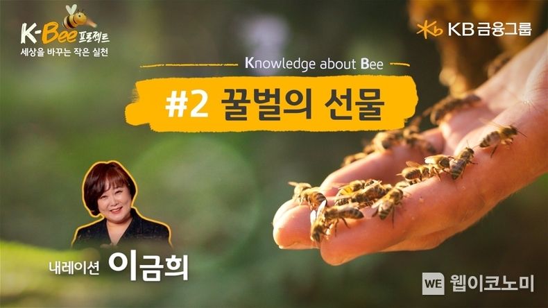 ‘꿀벌의 선물’ 영상 2022.11.11 (출처:KB금융그룹)