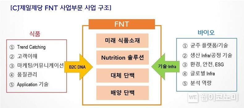 CJ제일제당 FNT사업부문 사업 구조 2022.11.14 (출처:CJ제일제당)