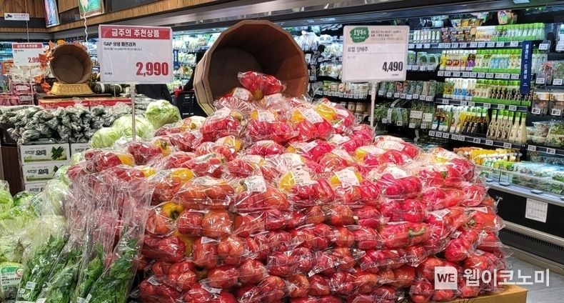 롯데마트 화명점에 '상생파프리카'가 진열된 모습 2022.11.24 (출처:롯데마트)
