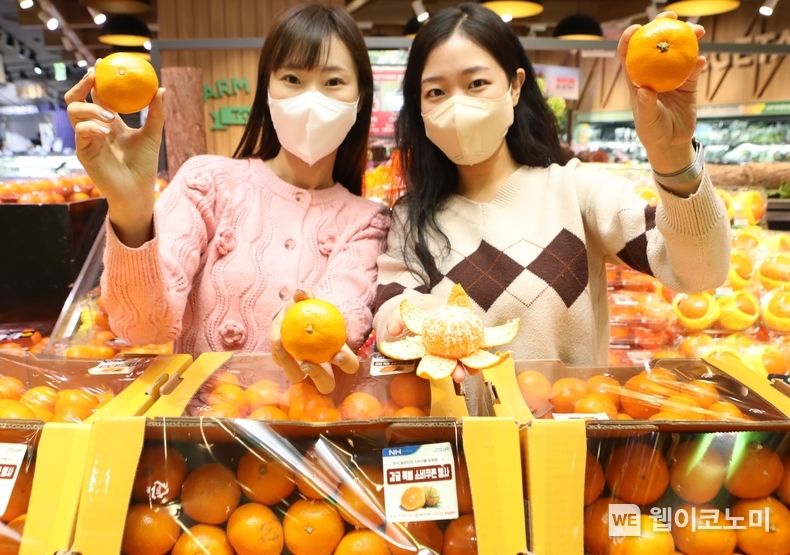롯데슈퍼 프리미엄공덕점에서 '제주 햇 조생감귤'을 홍보하는 모델들의 모습 2022.11.30 (출처:롯데슈퍼)