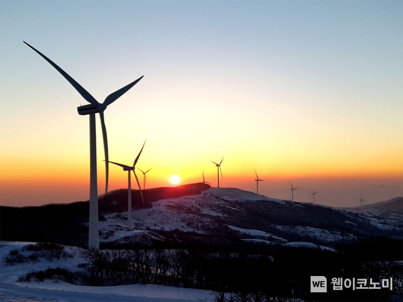 삼양목장 사진 2022.12.28 (출처:삼양식품)