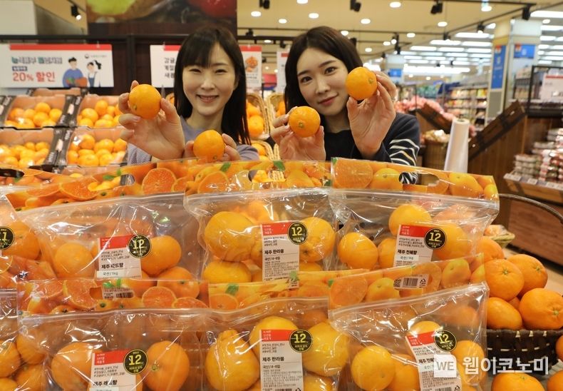 롯데마트 서울역점 농산 매장에서 균일가 감귤류 상품을 홍보하고 있는 모습 2023.02.09 (출처:롯데마트)