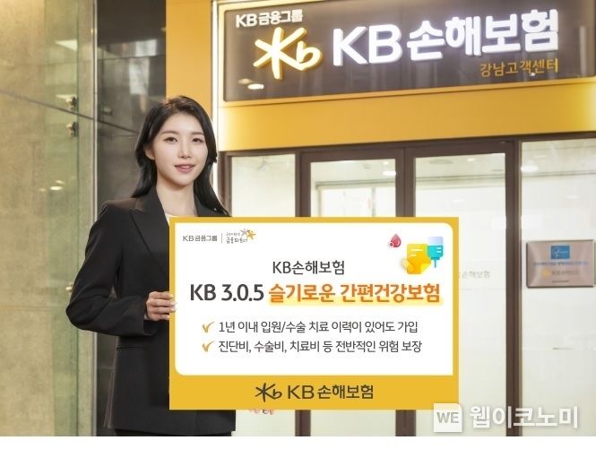 1년 내 입원·수술력이 있는 유병자를 위한 KB 305 슬기로운 간편건강보험 출시 2023.03.06 (출처:KB손해보험)