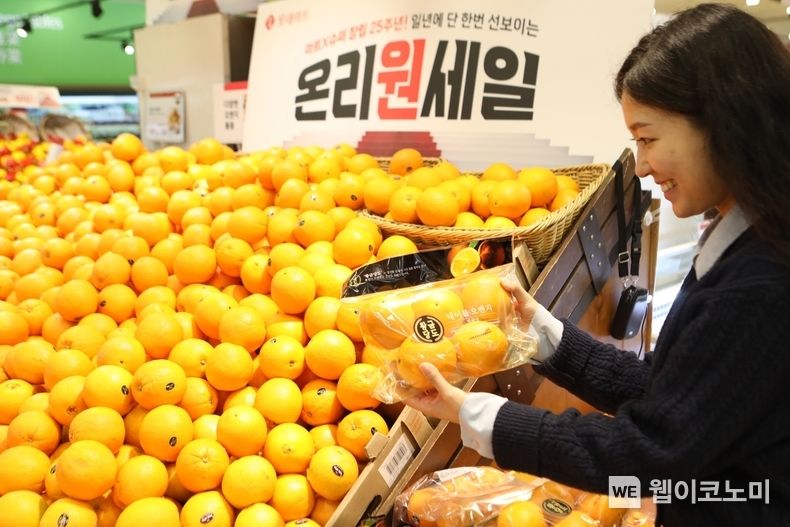 롯데마트 서울역점에서 황금당도 오렌지를 들고 있는 모델 사진 2023.04.07 (출처 : 롯데쇼핑)