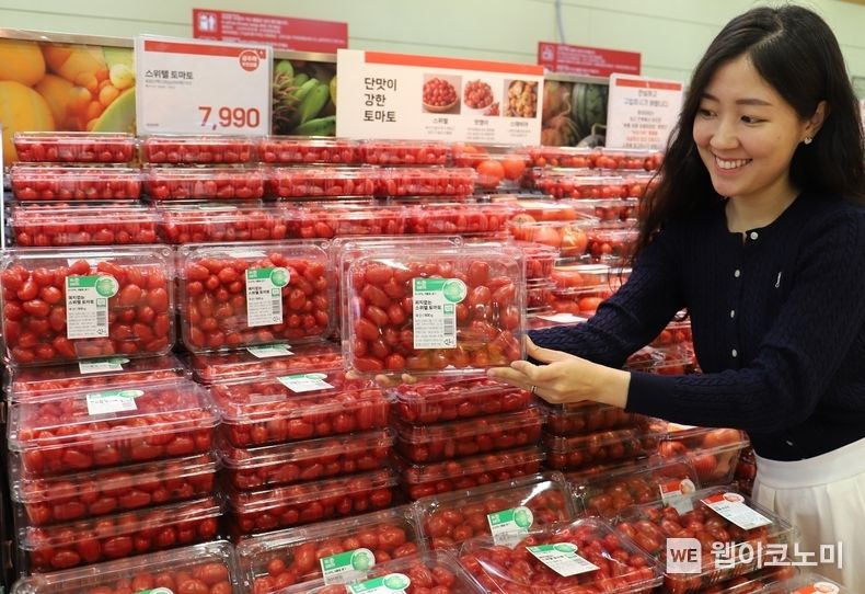 롯데마트 서울역점에서 100% 재생 플라스틱 용기 토마토를 들고있는 모습 2023.04.17 (출처 : 롯데쇼핑)