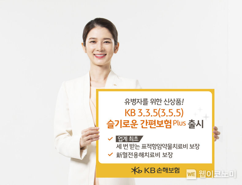 KB손해보험_ 두마리 토끼를 잡은 KB 335(355) 슬기로운 간편보험 Plus 출시 2023.05.02 (출처: KB손해보험)