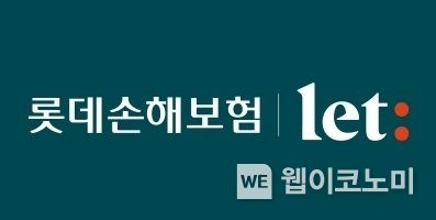 롯데손해보험 CI