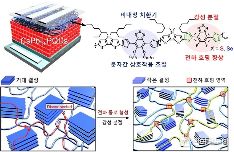 연구 관련 이미지<br>
- 좌측상단: 페로브스카이트 양자점 태양전지 구조<br>
- 우측상단: 비대칭 치환기와 강성 분절이 도입된 신규 정공수송체 분자구조<br>
- 좌측하단: 일반적인 전도성 고분자의 결정구조로 전하 이동의 저하 현상을 표현.<br>
- 우측하단: 강성분절이 도입되어 전하 통로가 마련되어 효과적 전하 전달을 표현함<br>
2023.05.11 (출처 : POSTECH)