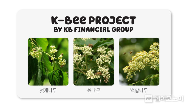  KB금융은 이상 기후로 인해 전국적으로 동시에 꽃이 피고, 개화 유지 기간도 점점 짧아지고 있는 점을 고려하여 헛개나무, 쉬나무, 백합나무 등 다양한 묘목으로 밀원숲을 조성하고 있다. 2023.05.18 (출처: KB금융그룹)