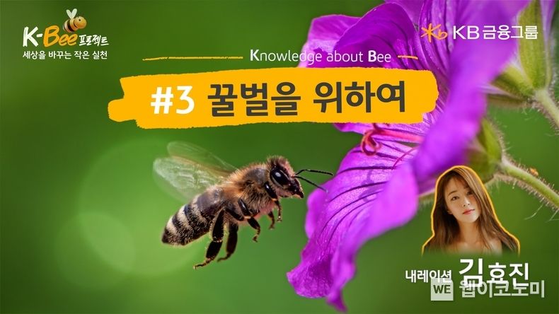 '꿀벌을 위하여' 영상 썸네일 2023.05.19 (출처: KB금융그룹)