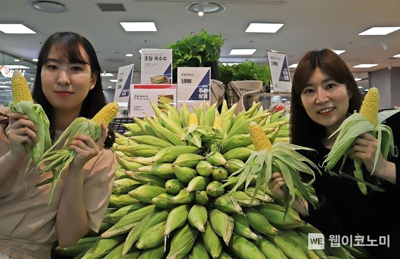서울 송파구에 위치한 롯데마트 제타플렉스점에서 모델이 '햇 초당 옥수수'를 들고 홍보하고 있는 모습 2023.05.25 (출처 : 롯데마트)