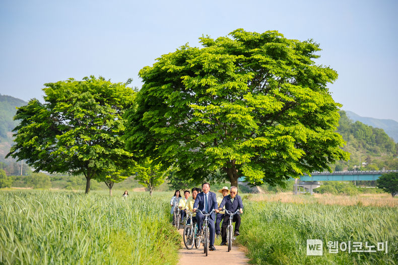 칠서 강나루생태공원 청보리밭 (출처: 함안군청)