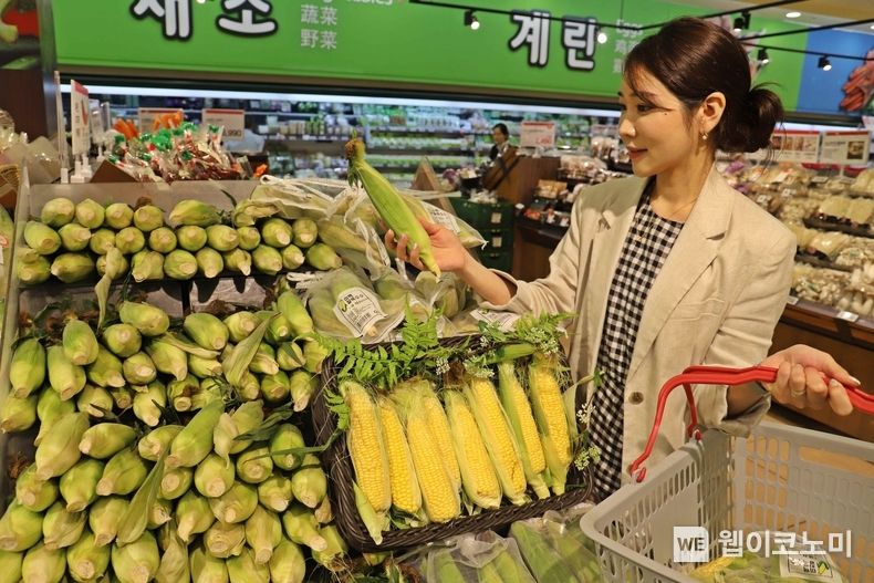 롯데마트 서울역점 농산매장에서 새벽수확 옥수수 상품을 구매하고있는 고객컷 2023.06.27 (출처 : 롯데마트)