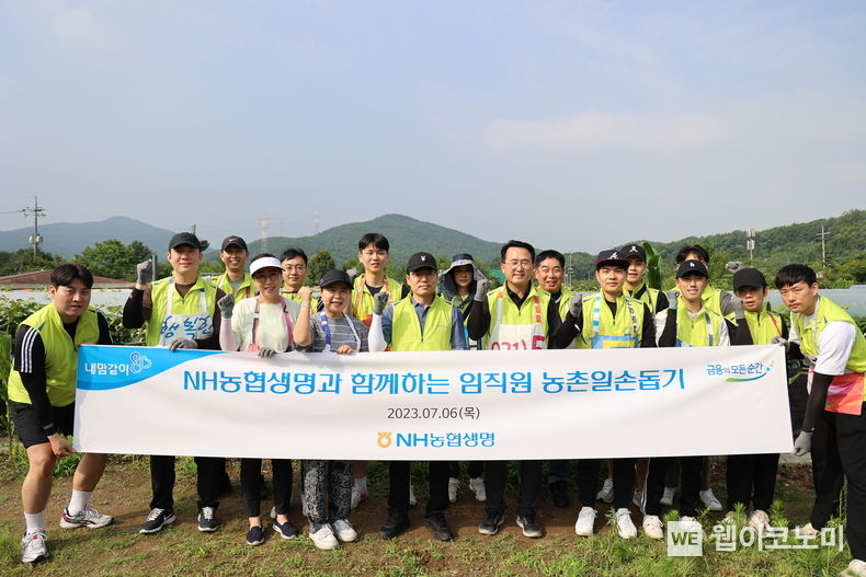 NH농협생명, 포도농장 찾아 농촌일손돕기 실시 2023.07.07 (출처:NH농협생명)