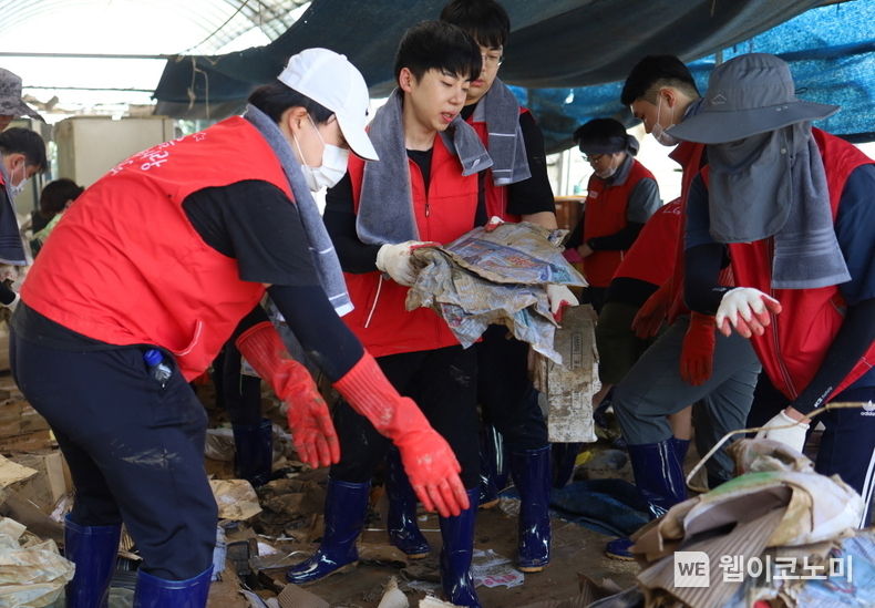 21일 오전 수해를 입은 청주시 오송읍 호계리 토마토 농장에서 LG에너지솔루션 오창 에너지플랜트 임직원 80여 명이 수해 복구 봉사활동을 진행하고 있다. 2023.07.21 (출처: LG에너지솔루션)