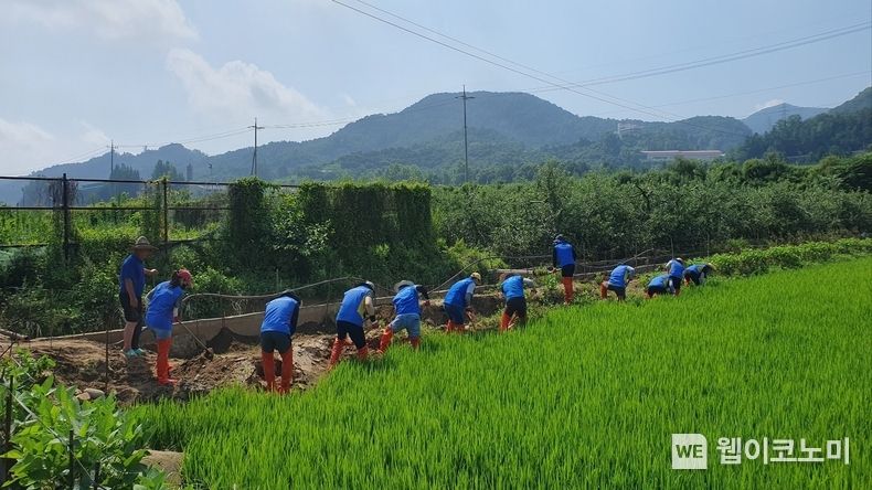 신한금융그룹(회장 진옥동)은 지난 29일 그룹사 임직원들이 최근 집중호우로 큰 피해를 입은 충청북도 충주시 단월동 일대 마을을 방문해 수해 복구를 위한 봉사활동을 펼쳤다고 이날 밝혔다. 이날 충청도 수해 지역에 방문한 신한금융그룹 임직원들이 봉사활동을 진행하고 있다. 2023.07.31 (출처 : 신한금융그룹)