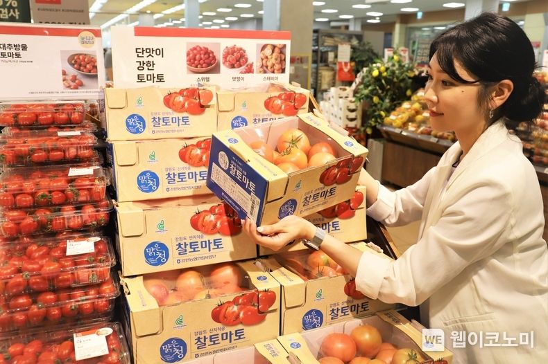 롯데마트 서울역점에서 강원 찰토마토 상품을 구매하고 있는 고객 2023.08.01 (출처 : 롯데쇼핑)