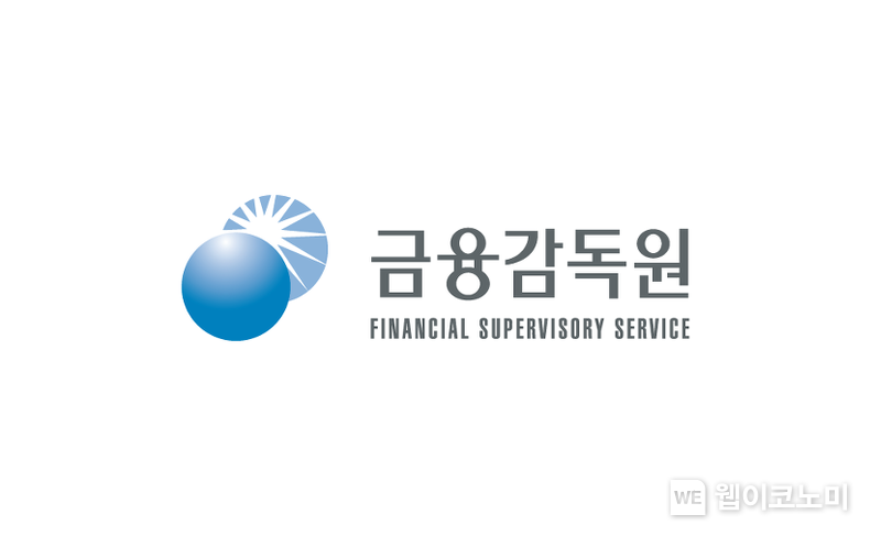 금감원 CI