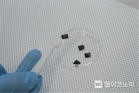 KRISS-POSTECH 공동연구팀이 제작한 고수명 유기전극 2023.09.01 (출처 : 한국표준과학연구원)